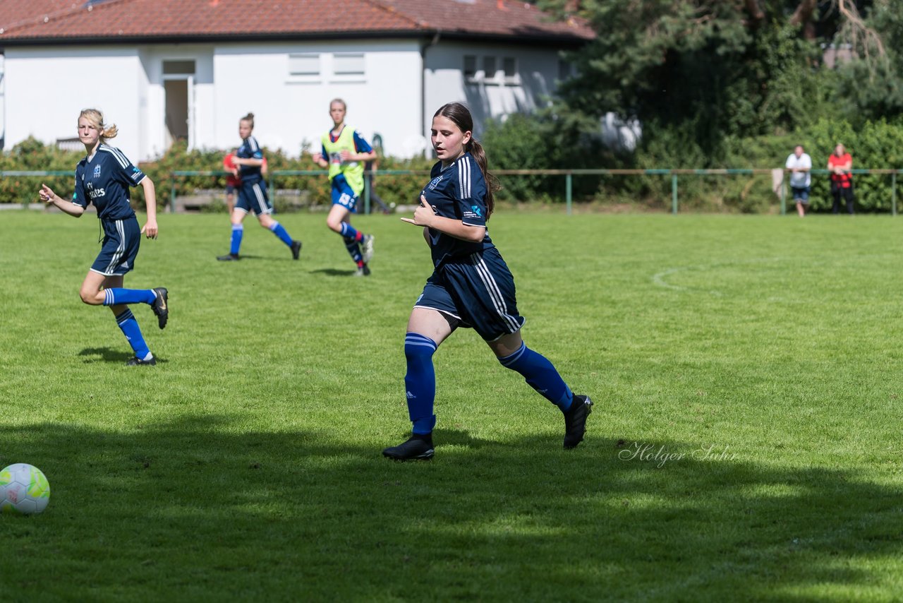 Bild 279 - B-Juniorinnen VfL Pinneberg - HSV : Ergebnis: 1:4